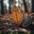 Cristian Cello