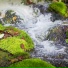 Vaidara