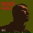 Rodi