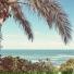 Palm Jungle, Дед (Ха)