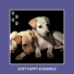 Dog Chill Out Music