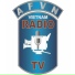 AFVN Network