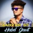 Habel Gavit
