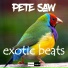 Pete Saw