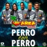 Grupo Marea Musical