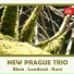 New Prague Trio