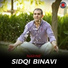 Sidqi Binavi