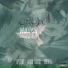 bmdmiBeats