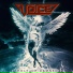 Voice