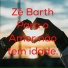 Zé Barth feat. NELSON DIAS