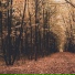 Jason L. Smith