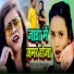 Shilpi Raj, Mithilesh Singh Premi