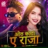 amir hamza, Radha Bharti