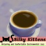 Silky Kittens