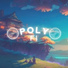 Poly Fi