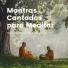 Meditación Maestro