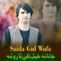 Saida Gul Wafa