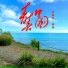 张喜秋