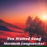 Merideth Longenecker