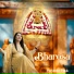 Parvinder Palak