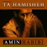 Amin Habibi