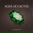Agua de Cactus