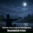 Hamdullah Irfan