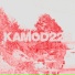 Kamod228