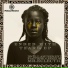 Dwell Amusement & Muffasa Deep