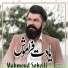 Mahmood Soheyli