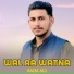 Saim Ali
