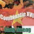 Combinatie XVI