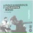 The Polyamorous Disaster Band