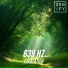 Zenify