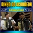 Dinho do Acordeon