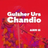 Gulsher Urs Chandio