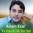 Aslam Esar