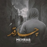 Mehrab feat. Amir Enghelab, Pasha