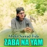 Abdul Samad Fida