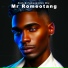Mr. Romeotang