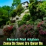 Hewad Mal Afghan