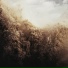 Daniel Thomas Freeman