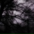 aesthetesis