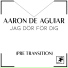 Aaron de Aguiar