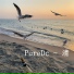 PureDc