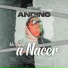 Andino