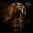 David Lesage feat. Cédric Moulié, Iris Chasles