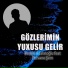 Ramin Ədalətoğlu feat. Pervane Şem
