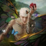Corki