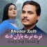 Bhadar Zaib